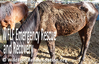 TB Emergency Starvation Rescue
